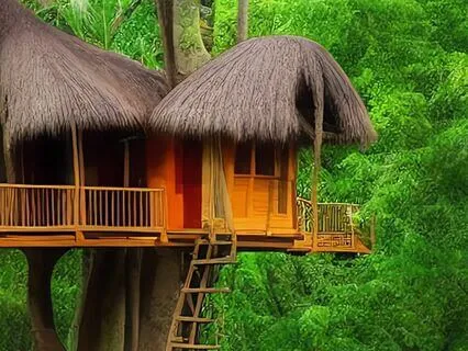 Kids' Meditation: Exploring Peace In The Treehouse Haven