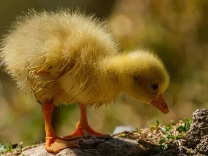 Kids Meditation - Letting Go