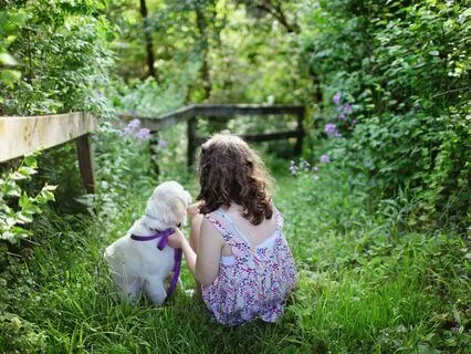Kids Meditation: The Power Of Doggy Paws