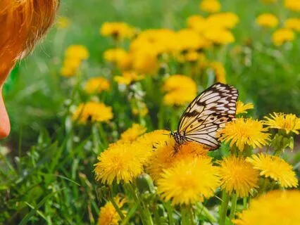 Kids Relaxing Meditation With Butterfly Imagery