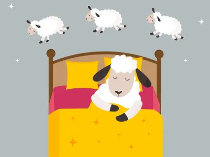 Counting Sheep With Lilly