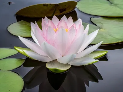 Kids Train Meditation