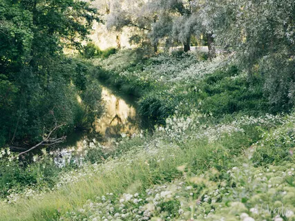 Kiitollisuusharjoitus