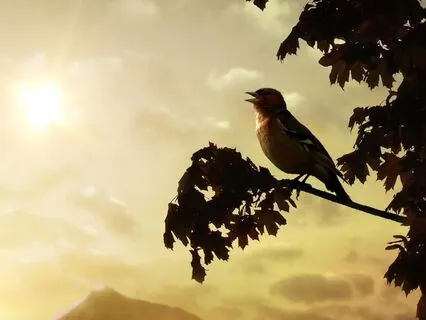 A Morning To Be Kind, Patient And Aligned