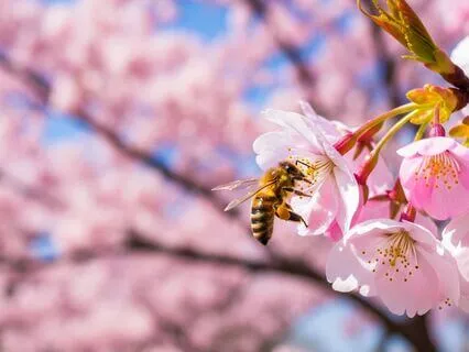 Kind Reminder: You Are Lovable