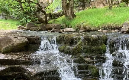 Kind William And The Water Sprite