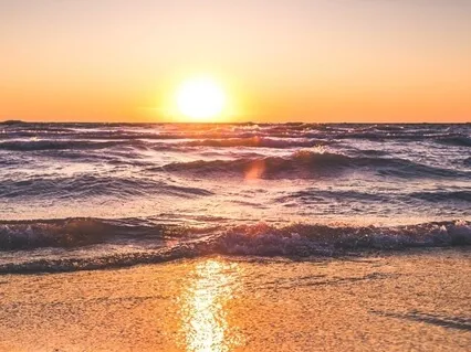 Kinderszenen, Op. 15: 10. Fast Zu Ernst (Schumann)