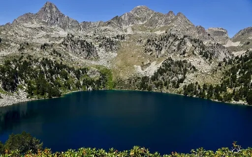 Kindness, A Poem - Naomi Shibab Nye