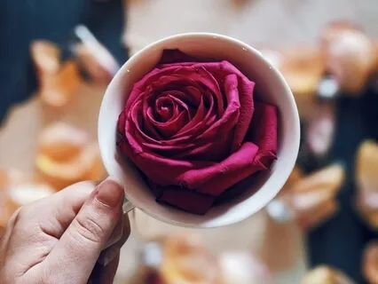 Kindness And Gratitude