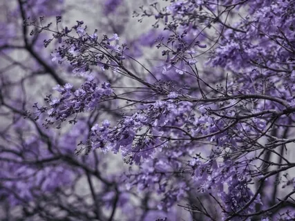 Kindness & Self Compassion For Difficult Emotions