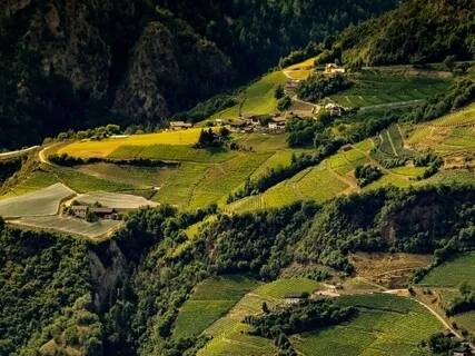 Body Scan For Kindness & Compassion For The Self