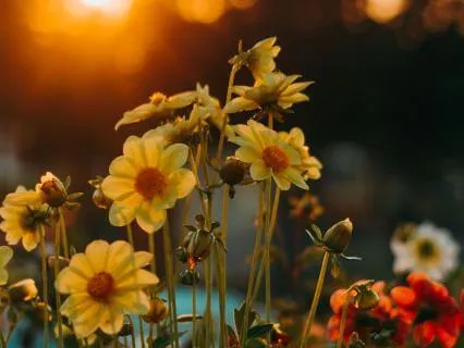 Kindness By Naomi Shihab Nye