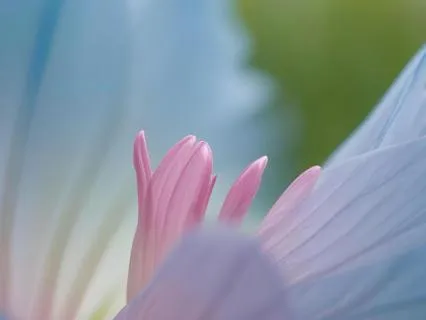 Kindness & Clarity ~ Love And Wisdom In Daily Life