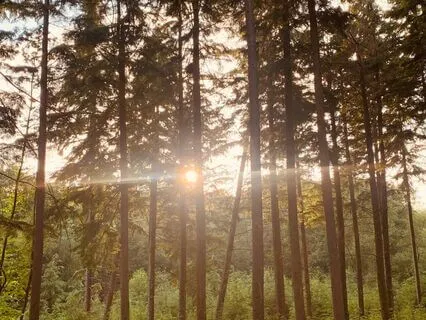 Kindness For The Body Meditation