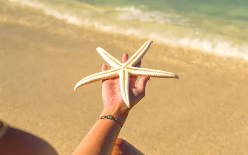 Kindness Is All It Takes To Heal