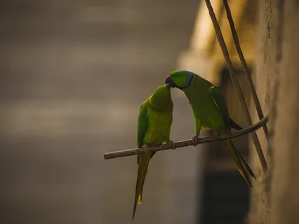 Extending Kindness To Everyone Everyday