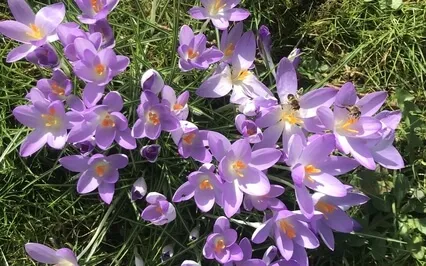 Kindness Meditation: A Good Friend / Dear Person