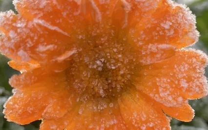 Kindness Meditation: Yourself