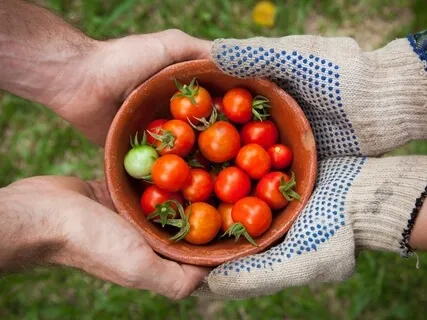 5 Minutes To Be Kind