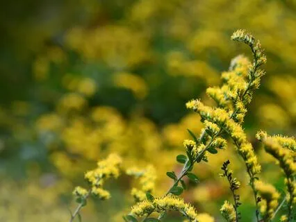 Kindness (Piano Music)