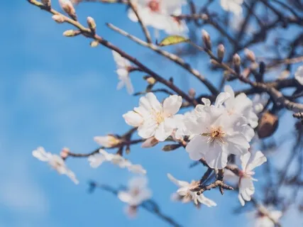 Kindness & Compassion In Tough Moments For Parents