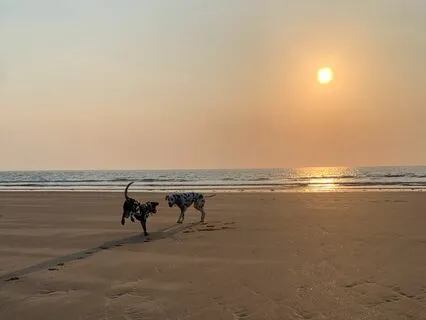 Kindness To A Benefactor Meditation