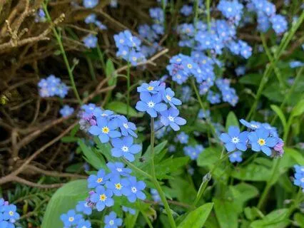 Kindness To A Neutral Person Meditation