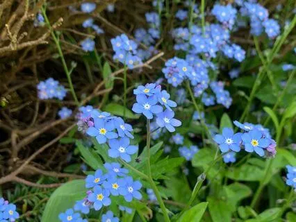 Kindness To Yourself Meditation