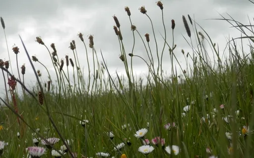 Kindred Spirits : An Uplifting Musical Conversation