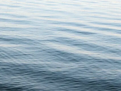 Kingdom Of The Oceans