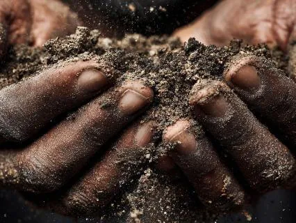 Kinship | From Soil To Studio