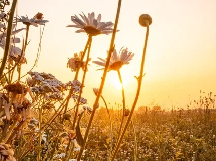 Sa Ta Na Ma: Kundalini Kriya