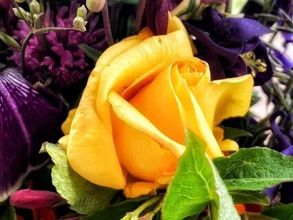 Kirtan Mantra Om Gam Ganapataye Namaha