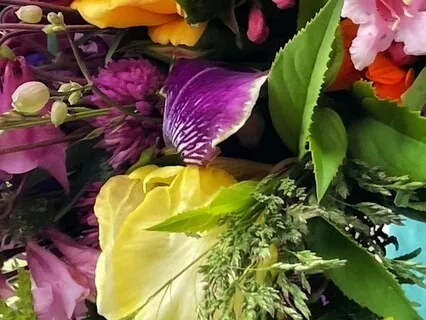 Kirtan - Ohm Nama Shivaya