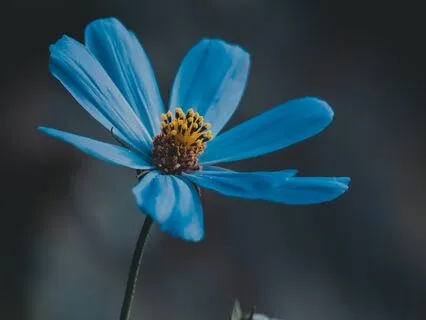 Kiss The Earth With Your Feet