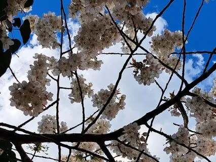 Kissing The Clouds Relaxing Meditation