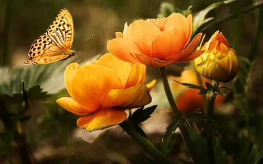 Klangmassage - Beruhigendes Klangbad mit Wellen & Windspiel