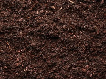 Klangmeditation - Klangspiel Erde