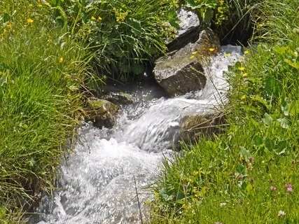 Kleiner Bachlauf mitten durch den Wald - Klangheilung