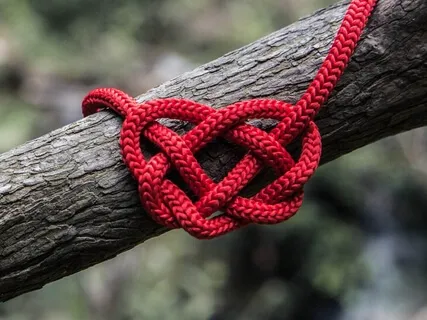 Knot For Every Body