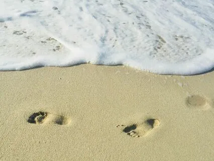 Know The Self, Let Go Of The Self -2