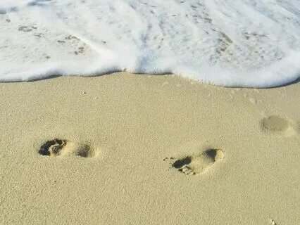 Know The Self; Let Go Of The Self