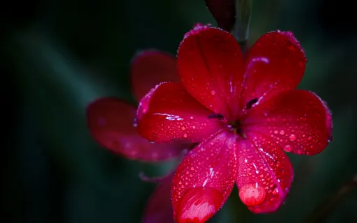 Know Your (True) Worth- Podcast