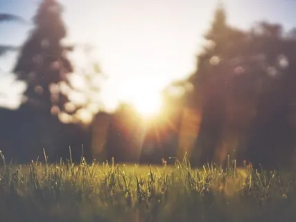 Knowing Your Body Is Literally Sensational