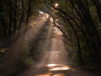 Knowing Your Own Worth  (A Self-Compassion Reset)