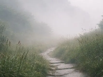 Koan Reflections — Case 3: Seng Ts’an’s Confessing Sin