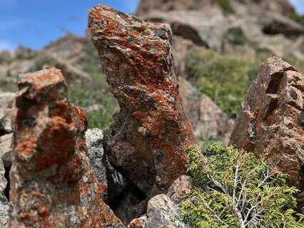 Концентрация на дыхании