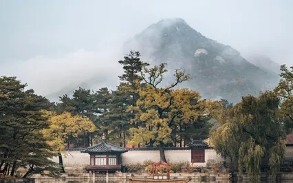 Korean Forest River Rejuvenation