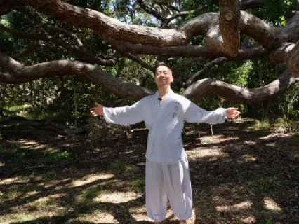 Korean Qigong: Awaken Your Energy Body