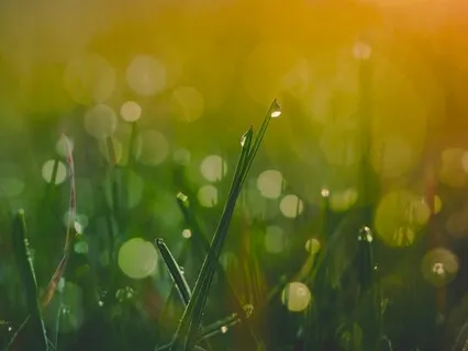 Короткая релаксация